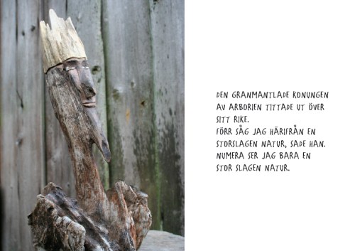 91konung av Arborien