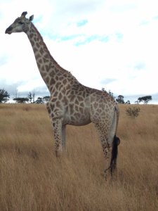 32525_1434348531435_2836119_n