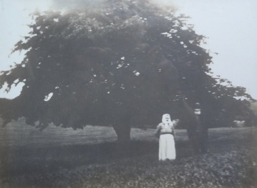 Andreas och Elna för snart 100 år sedan. Trädet planterades våren 1876.