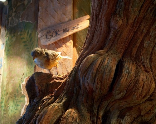 4901245684_be8a49123b_o